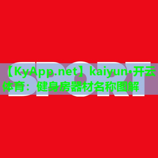 kaiyun·开云体育:健身房器材名称图解