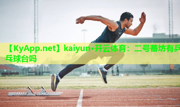 kaiyun·开云体育:二号蕃坊有乒乓球台吗