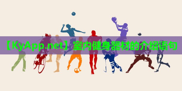 室内健身器材的介绍语句