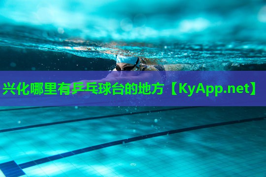 兴化哪里有乒乓球台的地方
