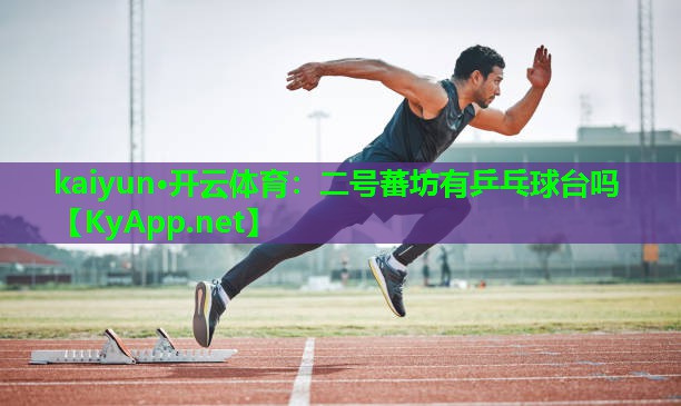 二号蕃坊有乒乓球台吗