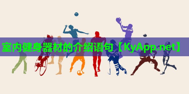 室内健身器材的介绍语句