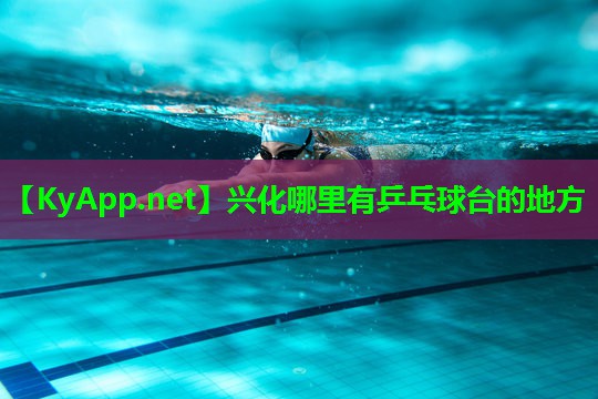 兴化哪里有乒乓球台的地方