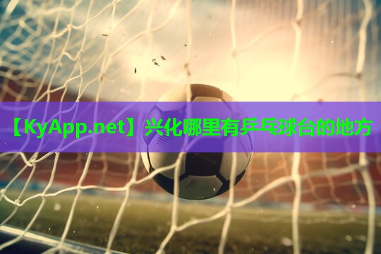 兴化哪里有乒乓球台的地方