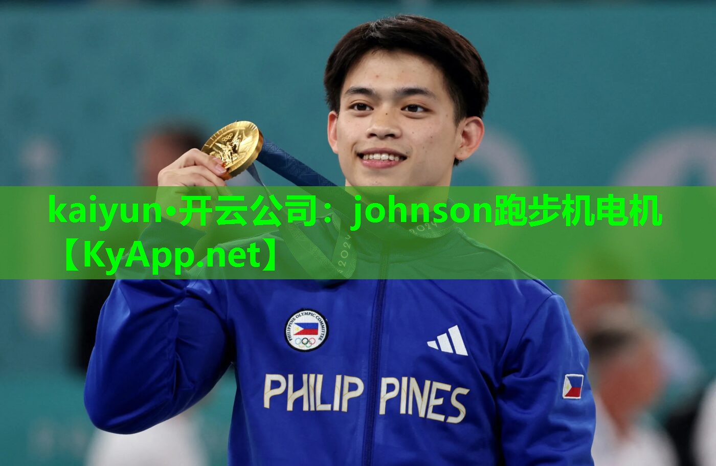 johnson跑步机电机